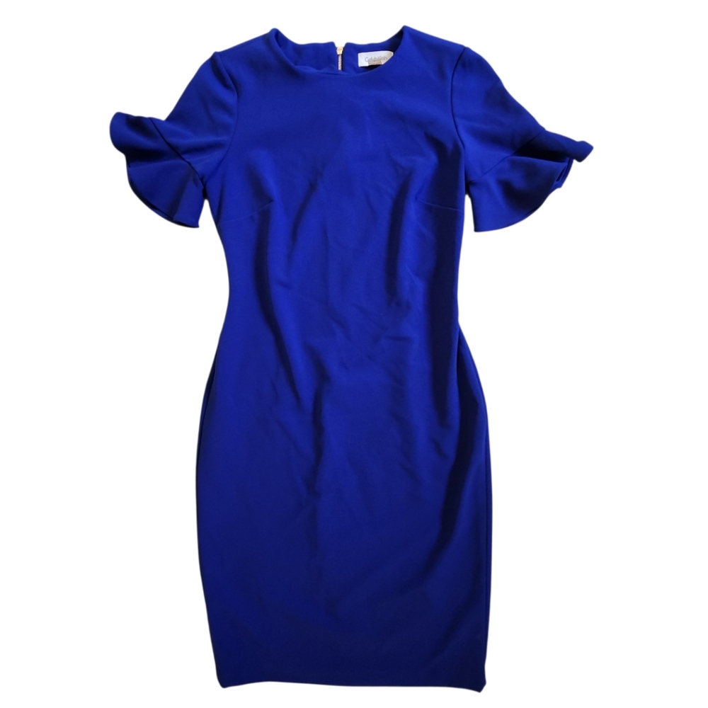 Calvin Klien Blue Ruffle Sleeve Dress 4
